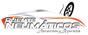puenteneumaticos.cl